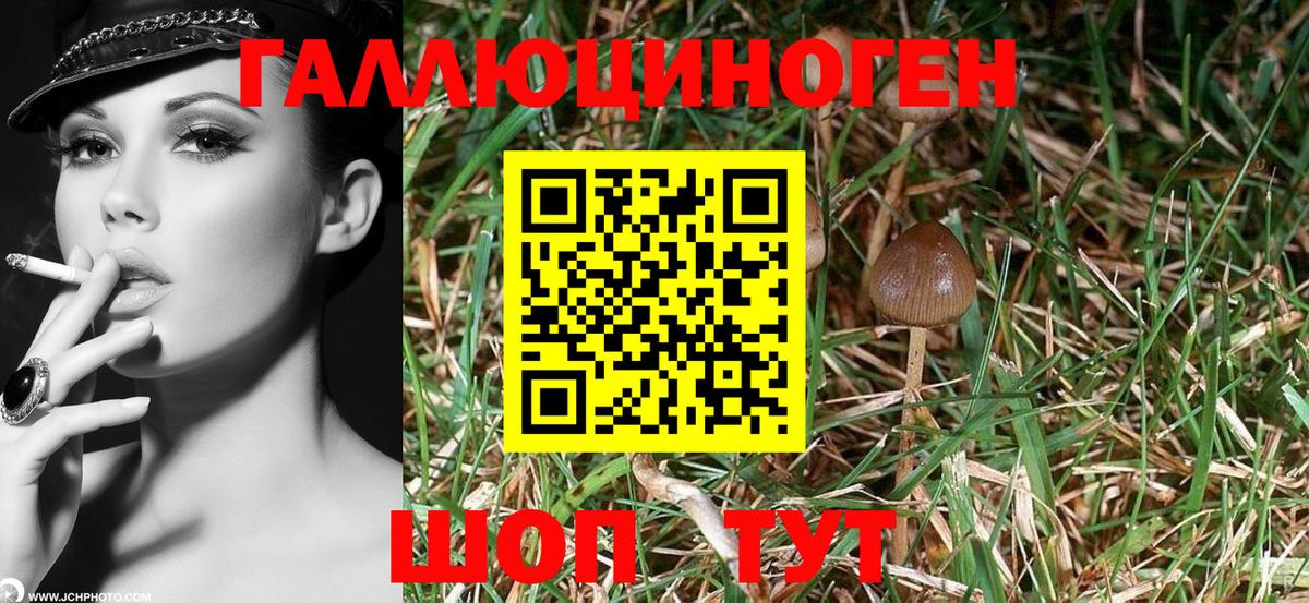 Псилоцибиновые грибы мухоморы  Вход с VPN  Нерюнгри 