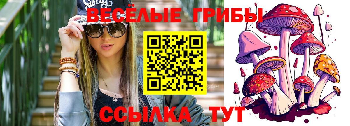 Псилоцибиновые грибы прущие грибы Нерюнгри